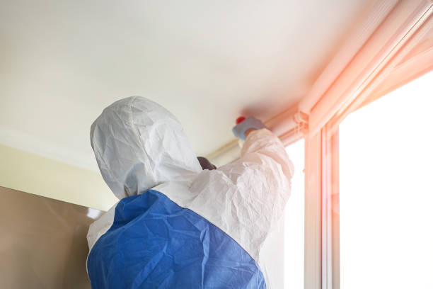 Mold Remediation for Rental Properties in Romancoke, MD