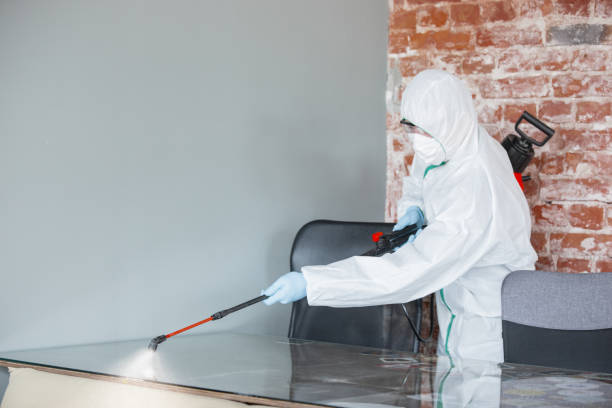 Best Forensic Mold Investigation  in Romancoke, MD