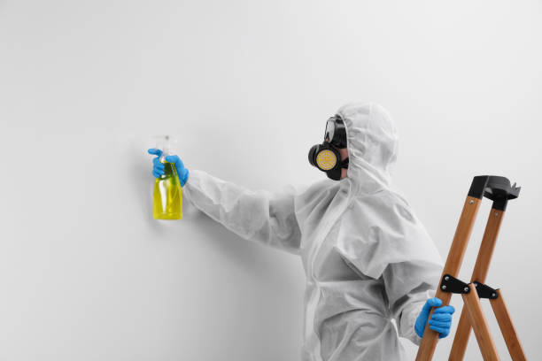 Best Mold Remediation for Healthcare Facilities  in Romancoke, MD